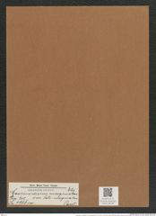 Coscinodiscus marginauts var. late-marginatus Pant. (de-Toni-Nr.: Genus 202, Species 4966) Zeichnungen Sammlung Grunow Mappe 04784 (Herbarium_W_Grunow_drawings_Folder_04784)